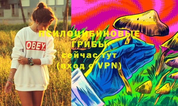 соль курить ск Новодвинск