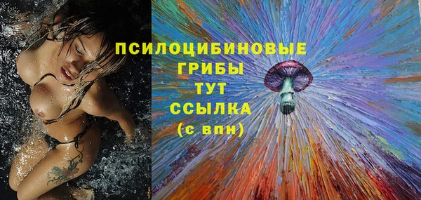 первитин Новозыбков