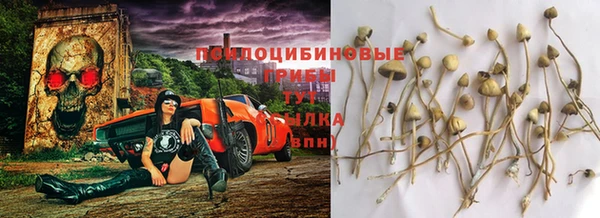 первитин Новозыбков