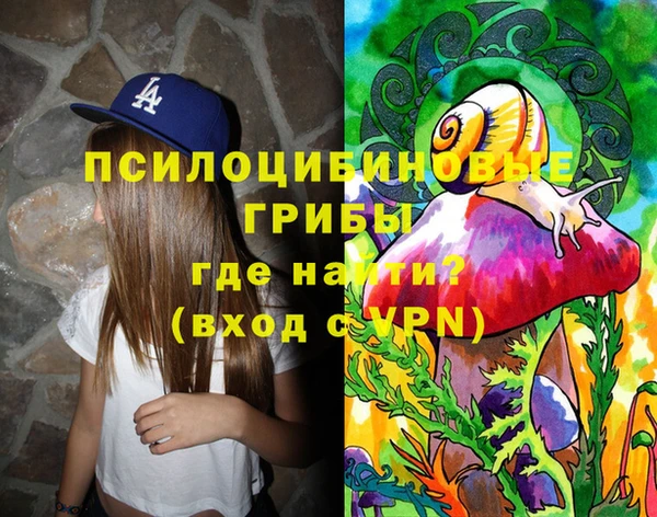 соль ск Новокубанск