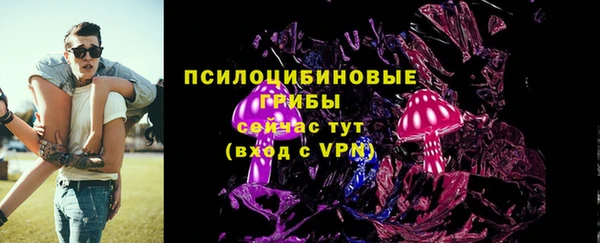 первитин Новозыбков