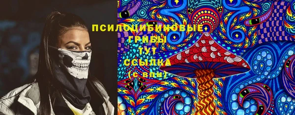 соль ск Новокубанск