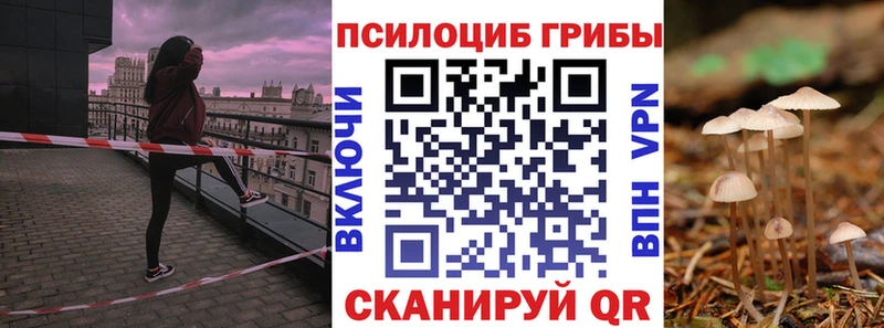 Псилоцибиновые грибы GOLDEN TEACHER  Купить где  Сунжа 